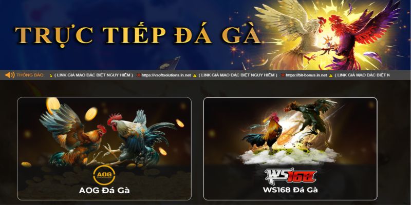 Cá cược đá gà nhận được phản hồi tích cực từ cộng đồng